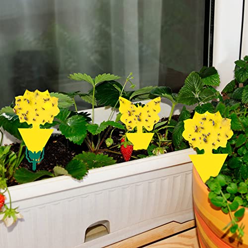 48 Pcs Sticky Traps, Fruit Fly Gnat Trap For Indoor And Outdoor, Insect Killer For Flying Plant Insect Such As Mosquitos, Fungus Gnats, Aphids, Leafminers #TOP4