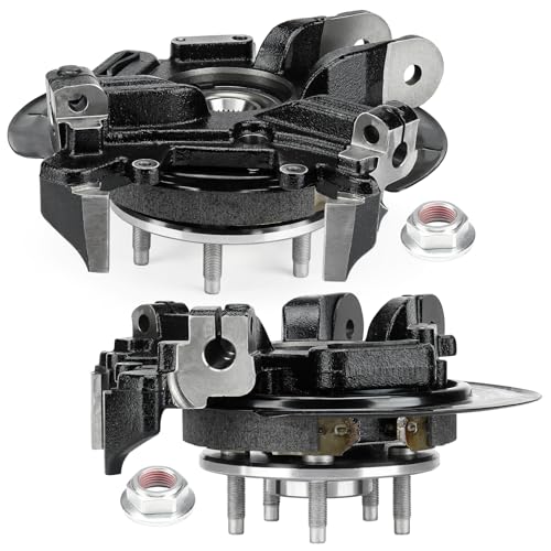 Rear Steering Knuckle & Wheel Bearing Hub Assembly for Ford