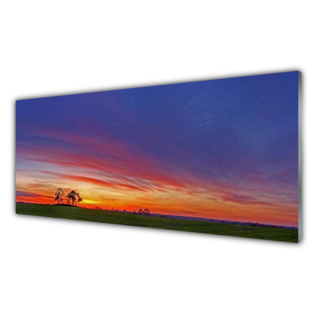 Impression sur Verre Trempé Tulup 125x50cm pour Déco Salon Design Nature