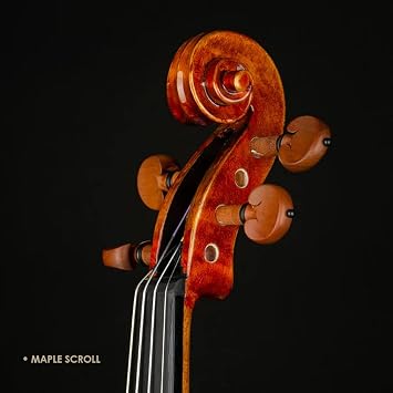 CHRISTINA Muse Acoustic Violins for Beginners 1/2 Full Size Violin with Case, Rosin, Shoulder Rest, Bow, Extra Strings