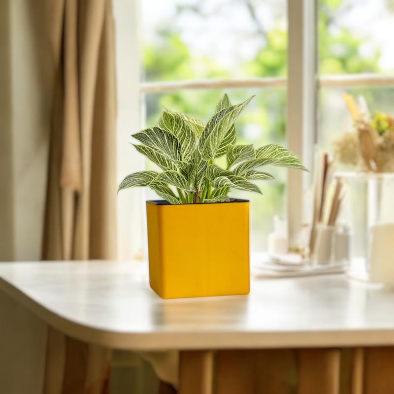 Image of Indian Discovery Self Watering Tabletop Planter| Flower Pots for Home, Terrace, Balcony, Vertical Garden Decor Flower Pots(2 PC, Yellow, Square) |6 Inch UV-Resistant Plastic Plant Pots