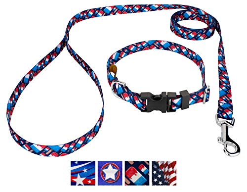Country Brook Petz - Deluxe Patriotic Popsicles Dog Collar and Leash - American