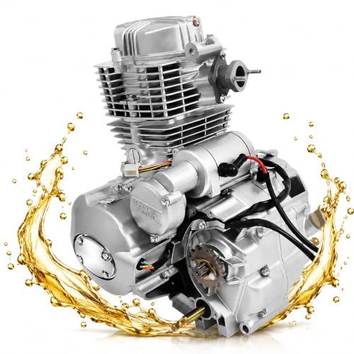 4 Stroke Engine Motor 250CC, 4-Stroke Single Cylinder Engine 14KW 5 Speeds Transmission, Aluminum Engine Motor Kit with Electric & Kick Start for 200CC 250CC Dirt Bike ATV Models
