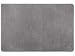 Famibay Alfombra Microfibra Absorbente Agua Felpudo Gris Entrada Alfombra Puerta Interior Tapete Puerta Alfombrilla Lavable Antideslizante 80x120cm