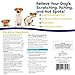 Protect Home + Dog Spray; Eliminate Scratching, Itching, and Hot Spots and Keep Your Home Safe and Smelling Great; Plant-Based All-Natural Formula - Made in USA