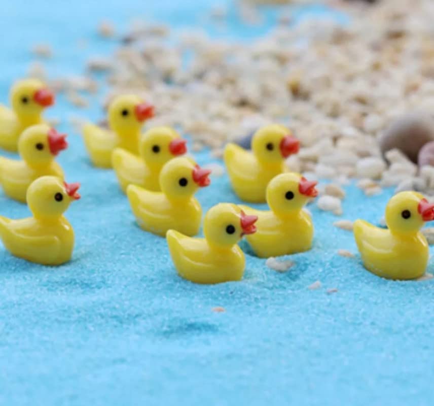 Bloom Bagicha Yellow Duck Set of 10 Pcs Miniatures for Garden Decor, Home/Landscape Decoration, Tray Gardening/Terrariums (B09RJK3MGV) Amazon Price History, Amazon Price Tracker