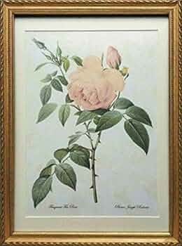 515fM9ALsLL._UF350,350_QL50_.jpg
