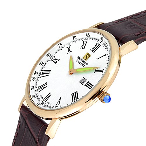 Steinhausen S0118