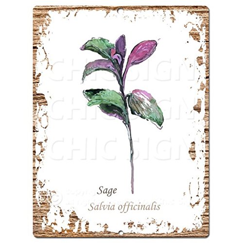 Hierbas Semillas Salvia Chic, Rústico Vintage Cartel, Retro, pared decorativa, 22.86 cm x 30.48 cm Cartel de chapa Sign Cartel Home Store Decor