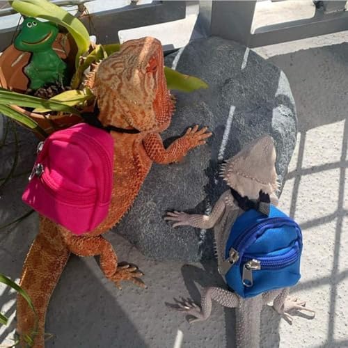 Image of Bearded Dragons Harness Leashes Set Cute Backpack Back to School Design for Small Pets Reptile Lizard Crested Gecko Chameleon Rat Hamster Squrriel Ferret Photo Shoot (Pink)