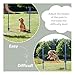 Trixie 3207 Dog Activity Agility Hürde, 123 × 115 × ø 3 cm, blau/orange