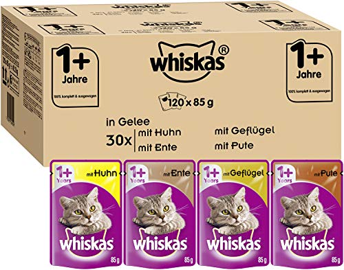 Whiskas 1 + Katzenfutter Ragout u0096 Abwechslungsreiches Nassfutter in Gelee in verschiedenen Geschmacksrichtungen u0096 Portionsbeutel à 85g