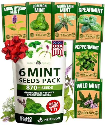 HOME GROWN Mint Seeds Variety Pack - 870+ Heirloom Non-GMO USA Peppermint Spearmint & More - Herb Seeds for Planting Indoor Outdoor Garden - Fresh Mint for Tea & Cooking