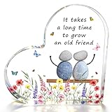 Friends Gifts with 'It Takes A Long Time to Grow an Old Friend' | Cherished Friendship Gift for Your Best Friend, Soul Sister & Lifelong Companion | Uplifting Emotional Support Present for Women