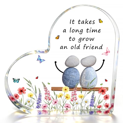 Friends Gifts with It Takes A Long Time to Grow an Old Friend | Cherished Friendship Gift for Your Best Friend Soul Sister & Lifelong Companion | Uplifting Emotional Support Present for Women