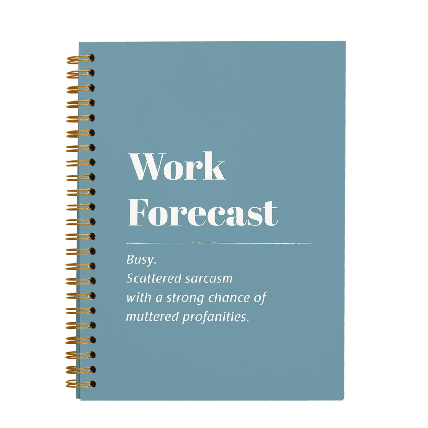 OXW Funny Office Notebooks for Work, Sarcastic Gifts Work Forecast Scattered Sarcasm Sign, Funny Gifts Journal for Coworkers, Work Humor Gifts, Blue Hardcover Spiral Notebook 5.5 x 8.3