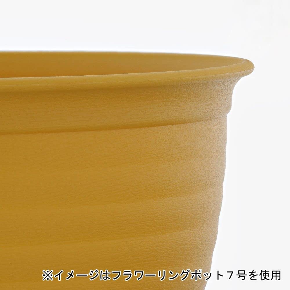 Amazon | ベストコ フラワーリングポット 鉢 プランター 6号 モス