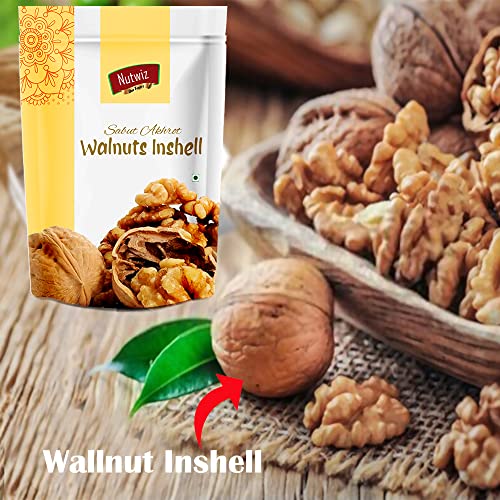 Image of Nutwiz Premium Nuts (Shelled Walnut / Sabut Akhrot, 500g)