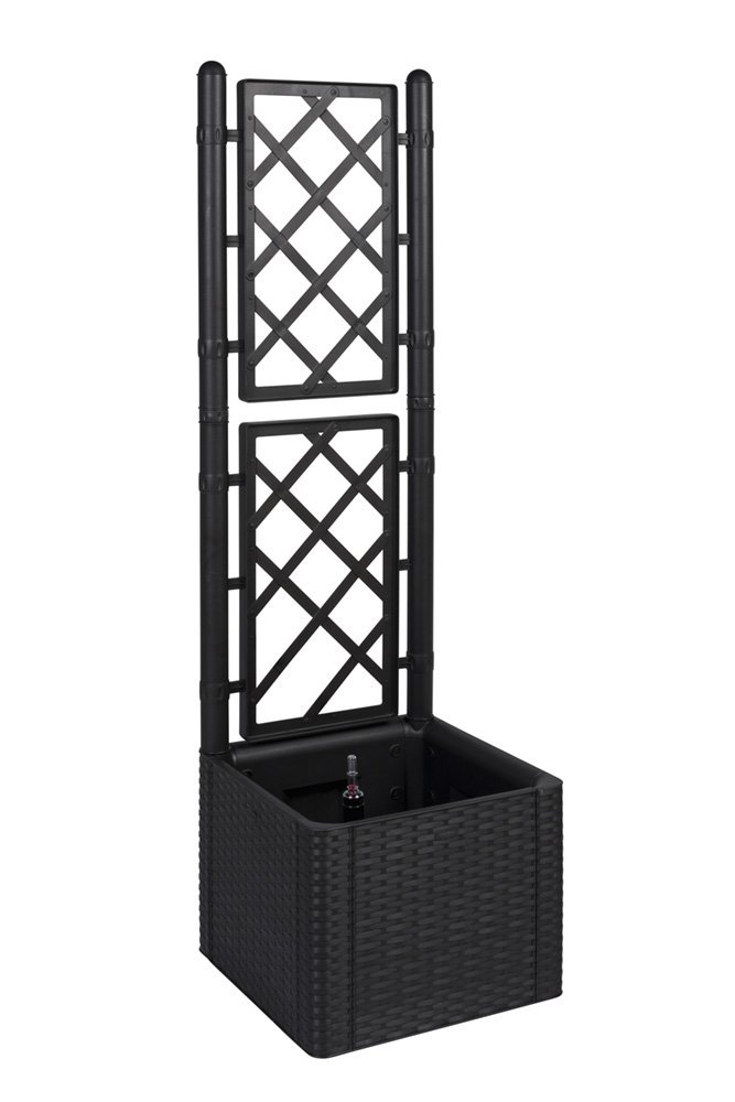 Kreher Rankgitter mit Pflanzkasten | Modernes Rattan-Design, Anthrazit