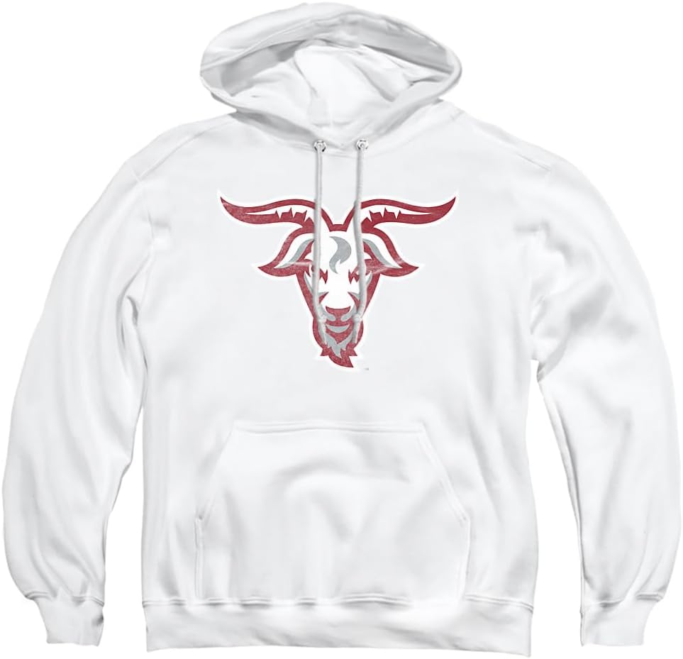 LOGOVISION Official Collegiate Distressed Primary Logo Adult Pullover Hoodie Collection