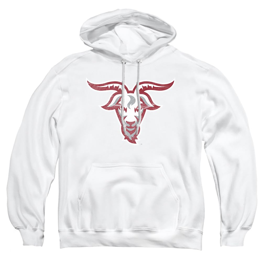 LOGOVISION Official Collegiate Distressed Primary Logo Adult Pullover Hoodie Collection — view 525