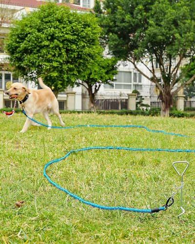 Joytale Schleppleine 5m-20m für Hunde, Reflektierend, Gepolsterter Griff, Abschließbarer Karabiner (Blau, 5m)