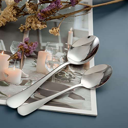 Anylat Stainless Steel 12-Piece Teaspoons Set, Table Dessert Spoons Pack For 12 (Silver 6.7 Inches) #TOP3