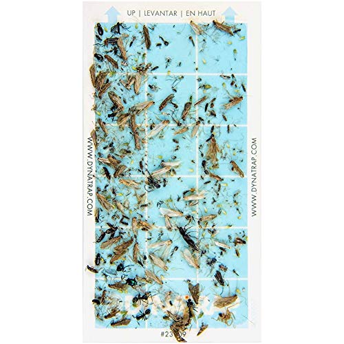 Dynatrap Flylight Insect Trap With 2 Ac Outlets #TOP4