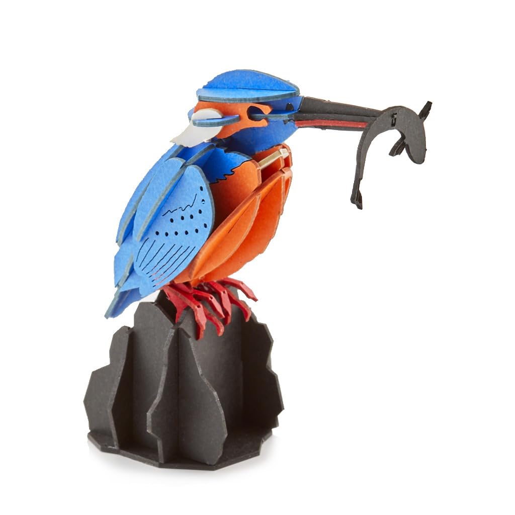 はるき　本物！カワセミのツガイ、剥製、美品 はるき様専用 本物！カワセミのツガイ、剥製、美品