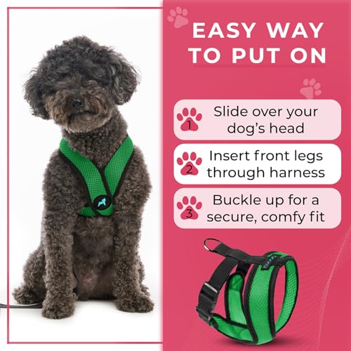 Image of Gooby Comfort X Head-in Dog Harness, Choke-Free, Hunter Green, Medium