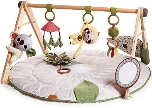 Tiny Love Luxe Developmental Gymini