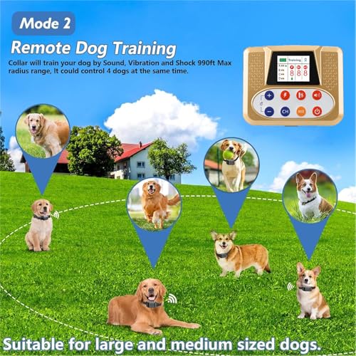 Wireless Dog Fence Collar Active Use