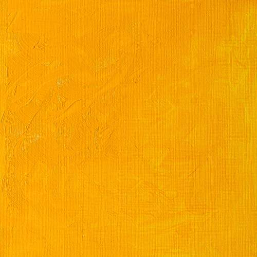 Winsor & Newton Winton Oil Color, 37 Ml (1.25-Oz), Cadmium Yellow Medium #TOP1