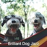  Jazz Clarinet Soundtrack for Training Your Dog