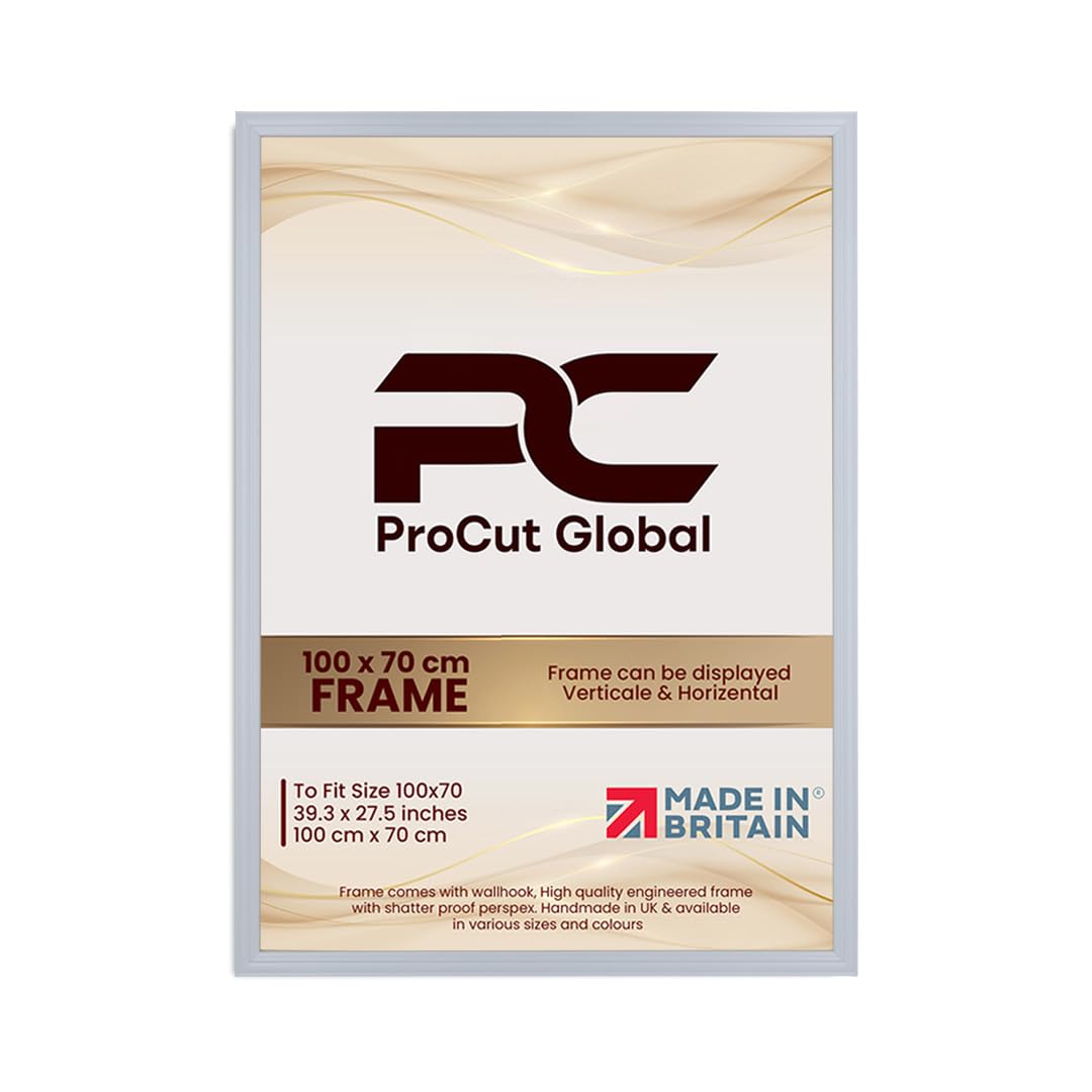 Procut Global 100x70CM Light Grey Picture Frames - Classic Wooden Photo Frame with Shatterproof Perspex for Wall or Tabletop - Perfect for Posters, Certificates & Prints - Sizes & Colors Available