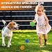 EuAcesry Bälle für Hunde, 3 Stück Hundespielzeug, unzerstörbar, interaktives Spielzeug für Hunde, aus Gummi, für kleine und mittelgroße Hunde (Blau, Grün, Orange)