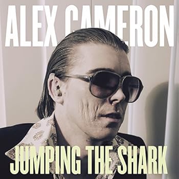 Vinyl Jumping The Shark Book