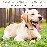  2022 Huesos y Gatos