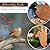 OULYDEKO 5PCS Rusty Metal Birds Decoration - Yard & Garden Sculptures, Fence Decor