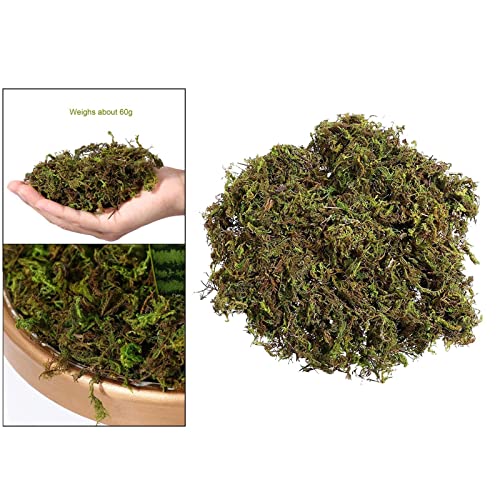 Generic 100g/ Simulado Seco Planta Jdim Decoração Vaso