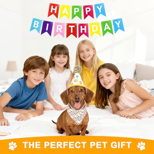 50% Off Dog Birthday Party Decorations Set with Bandana & Hat - Image 7
