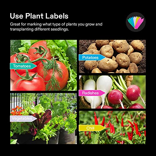 Vivosun 1 Pack 50 Gallon Grow Bag, Fabric Pot With Handles For Growing Vegtables And Plants #TOP7