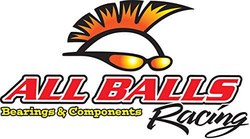 Kit di cuscinetti portanti per ruota posteriore