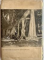 Rare Edwin A Menninger / FANTASTIC TREES 1st Edition 1967 B09F1PKSFF Book Cover