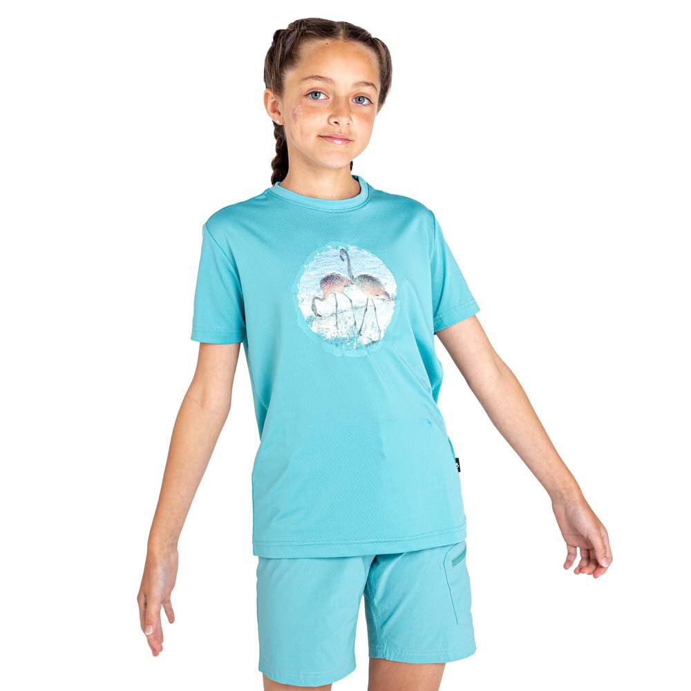 Dare2b Rightful Short Sleeved Graphic T-Shirt