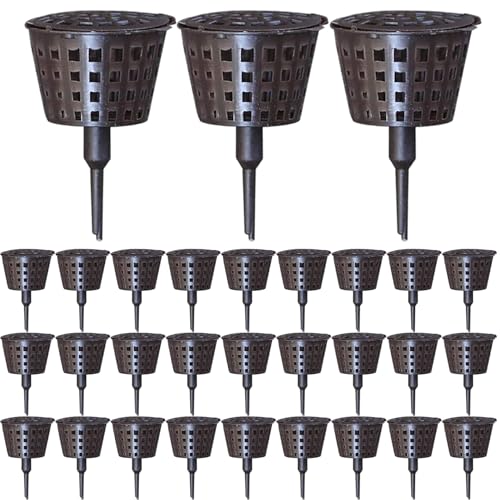 Wilafury Panier d'engrais pour bonsaï, 30 pièces, boîtes d'engrais en Plastique avec Couvercle pour Plantes en Pot, Kit 'Outils pour Plantes en Pot 'intérieur