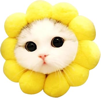 Amazon | MIGOGO 猫用コスプレ ひまわり ペット帽子 かぶりもの 帽子