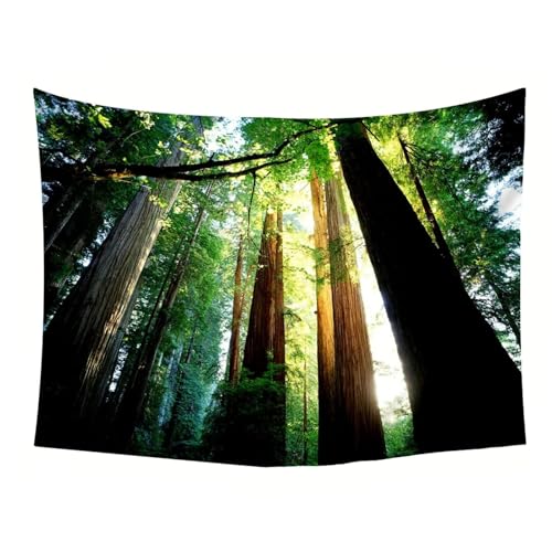 Tenture Murale Vert Forêt 150x150 Textile Grand Format - 5