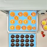 Jotekonoby Silikon-Dörrblätter (6er-Pack) – nicht trockner-Matten für Cosori-Lebensmittel-Dörratoren, 31 x 26 cm, Backeinlagen mit erhöhtem Rand, hitzebeständig für 230 °C (orange)