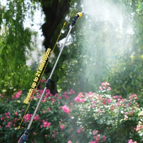 Arroseur à haute pression électrique avec atomisation automatique de jardin